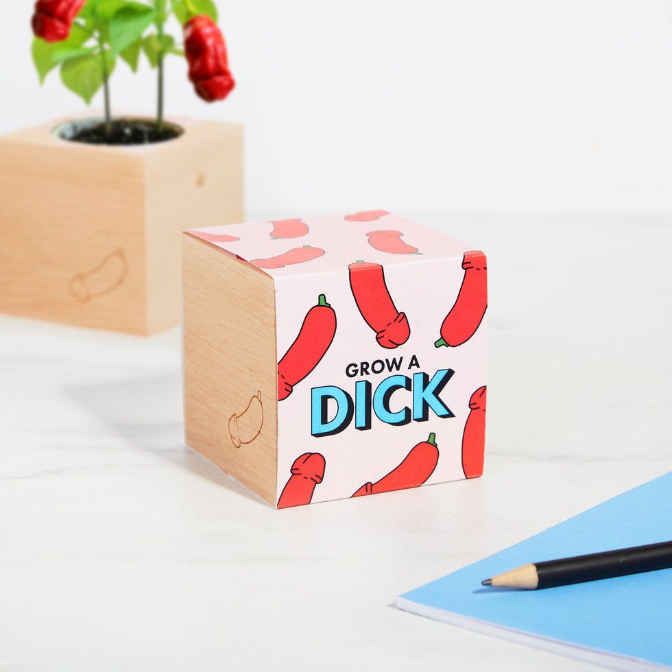 dick presents