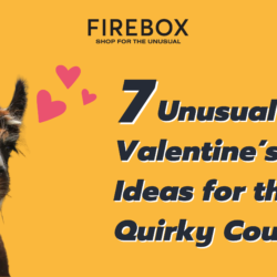 Unusual Valentines Dates Banner