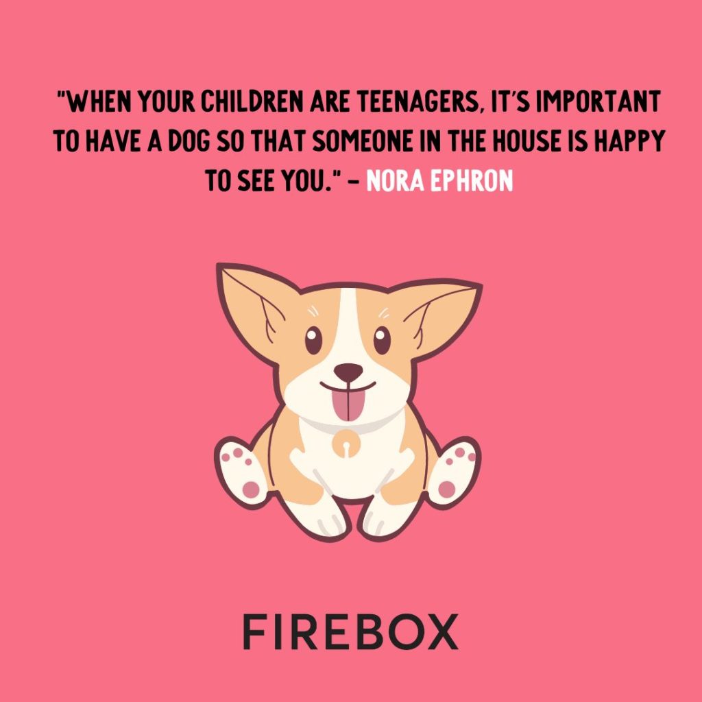 "When your children are teenagers, it's important to have a dog so that someone in the house is happy to see you." - Nora Ephron | Firebox