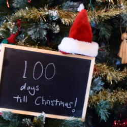 100 days until christmas