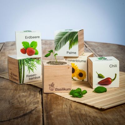 Ecocube Plant Grow Kits