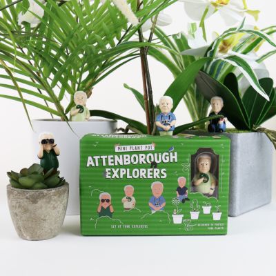 Attenborough Plant Markers