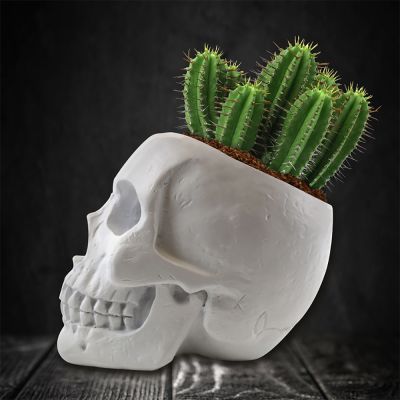 Skull Planter Grow Kit