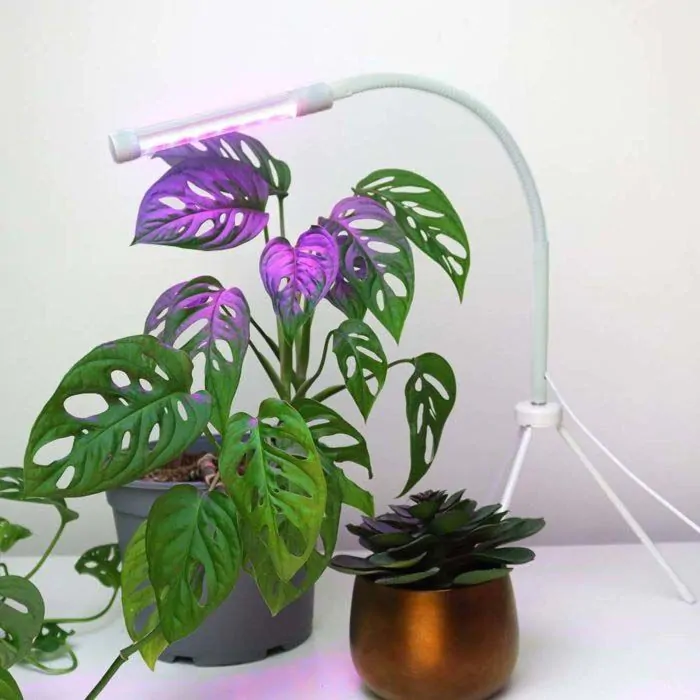 Plant grow light lamp store