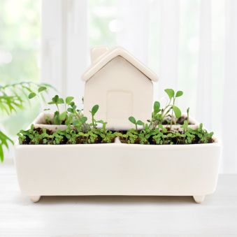 Self-Watering Herb House