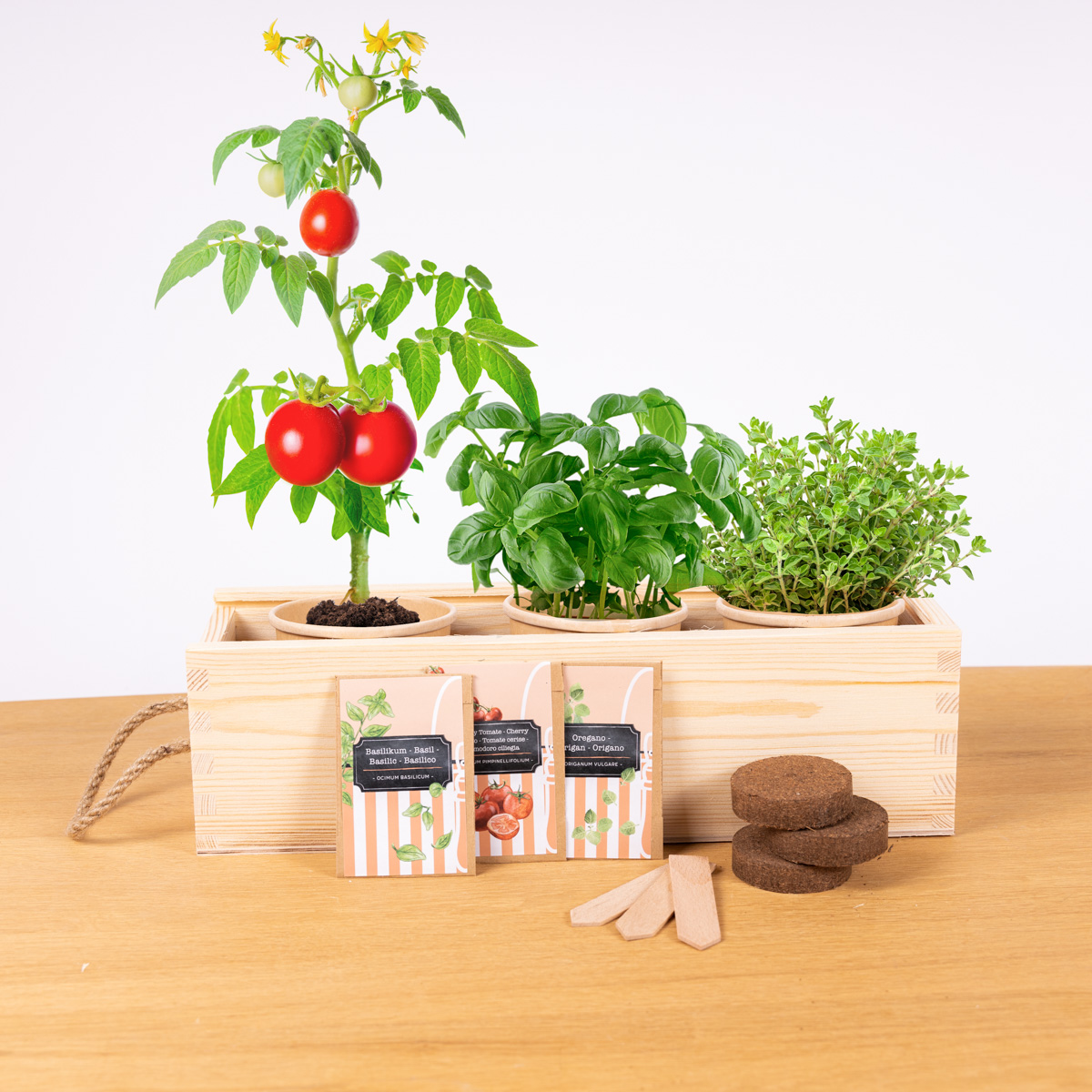Eco Garden - Mini Kitchen Garden Kits