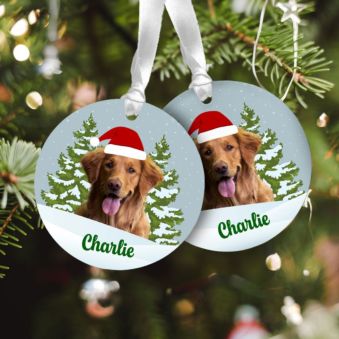 Personalised Pet Tree Decorations with Name