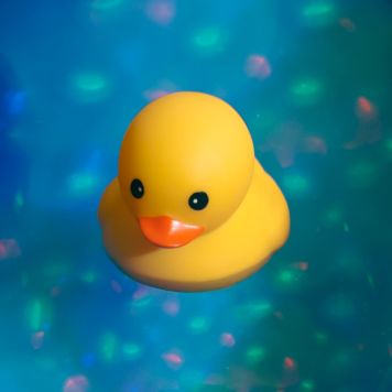 Duck Bath Light