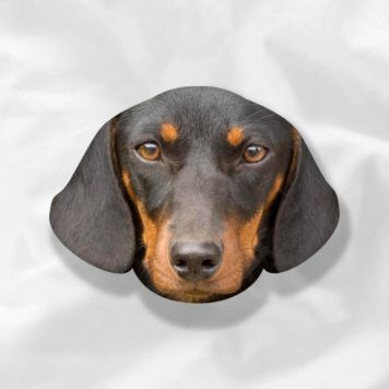 Pet Monster Mushion™ – Personalised Pet Cushion - Floppy-eared Dog