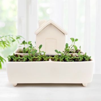 Self-Watering Herb House