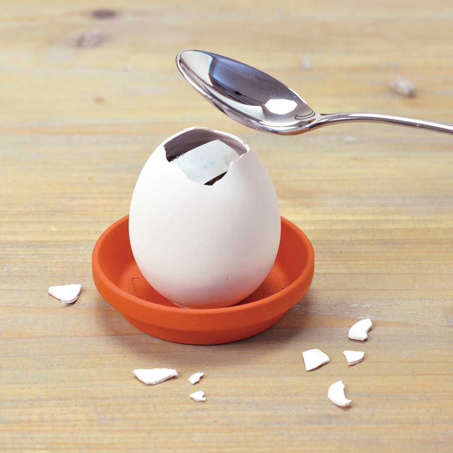 Egglings