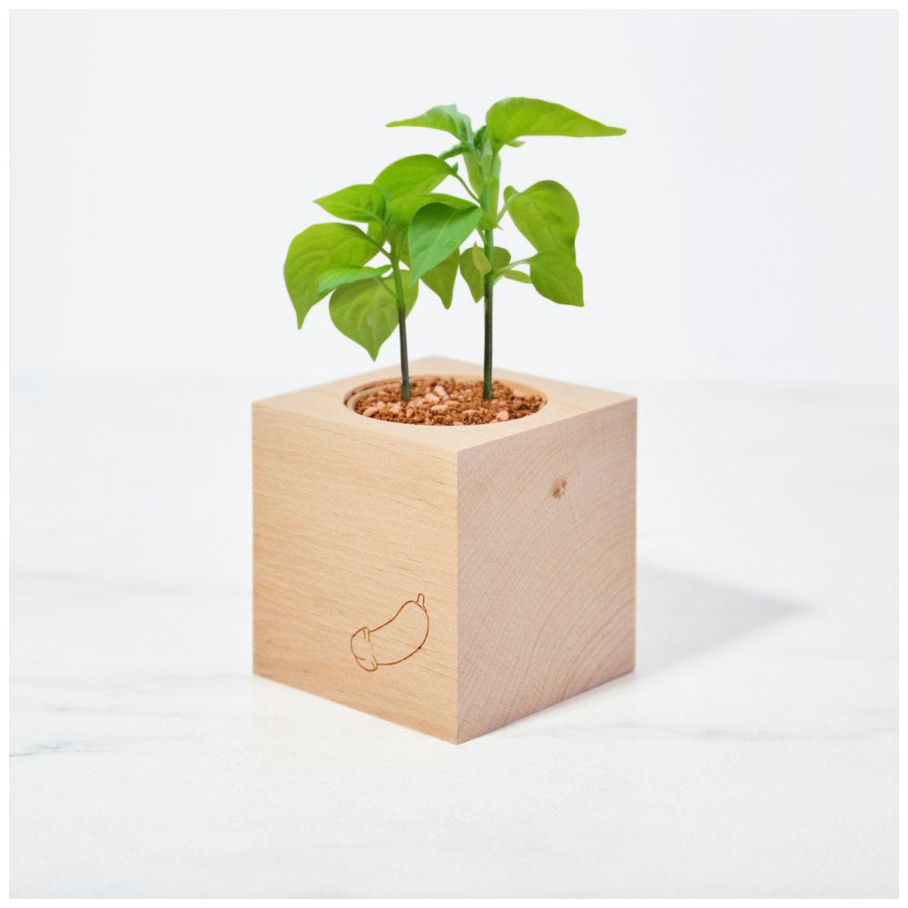 Grow A Dick