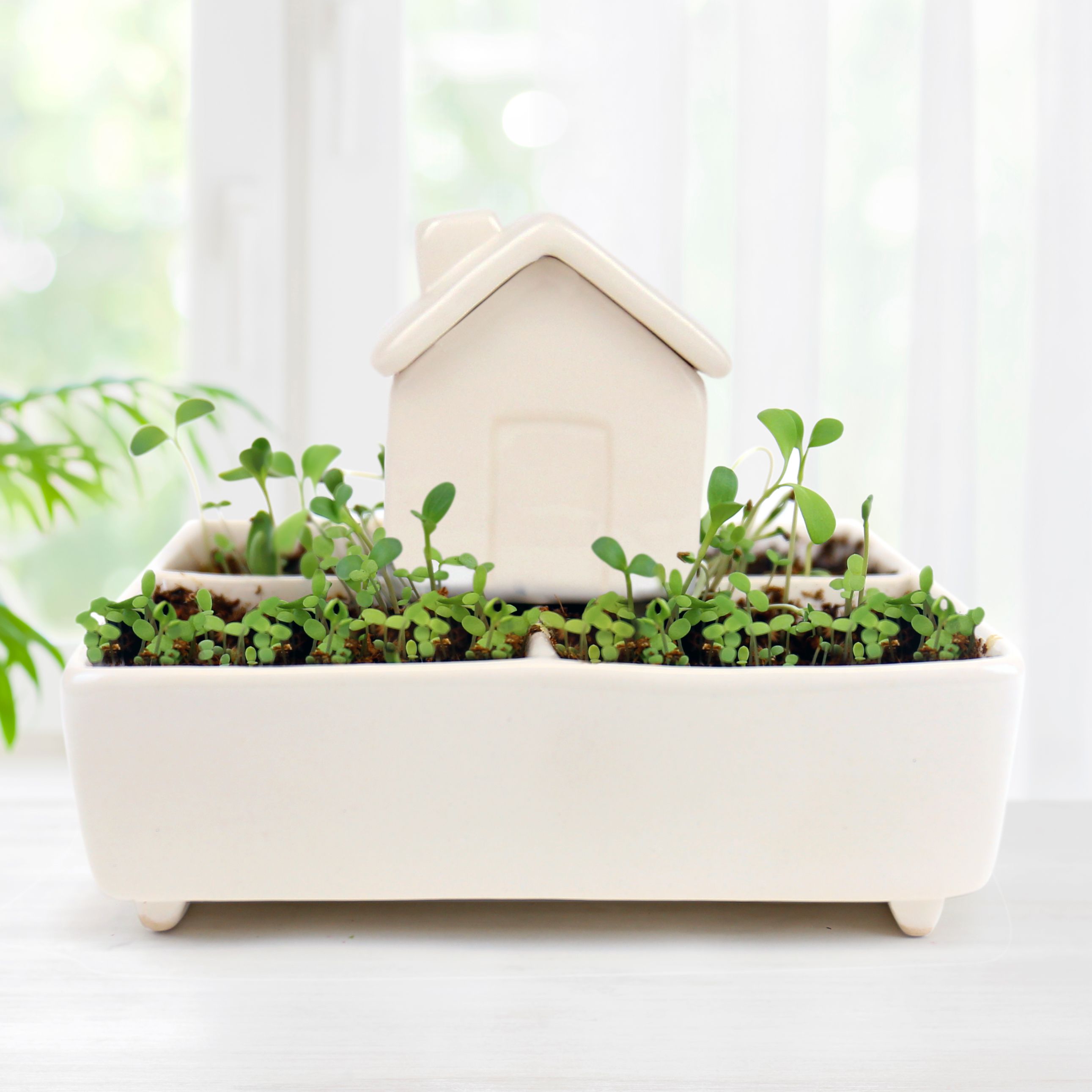 leather plant hanger Leather Plant Hammock