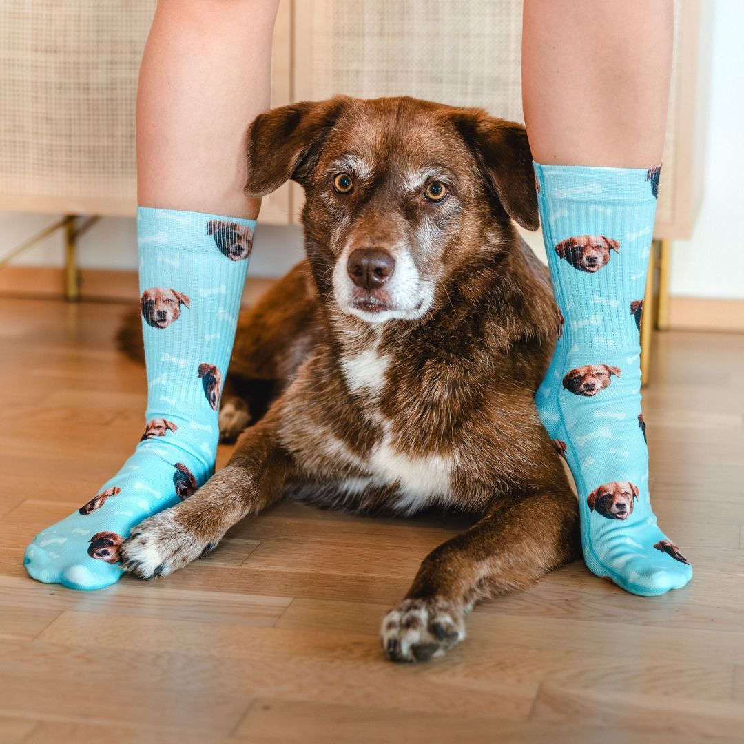 pet pic socks