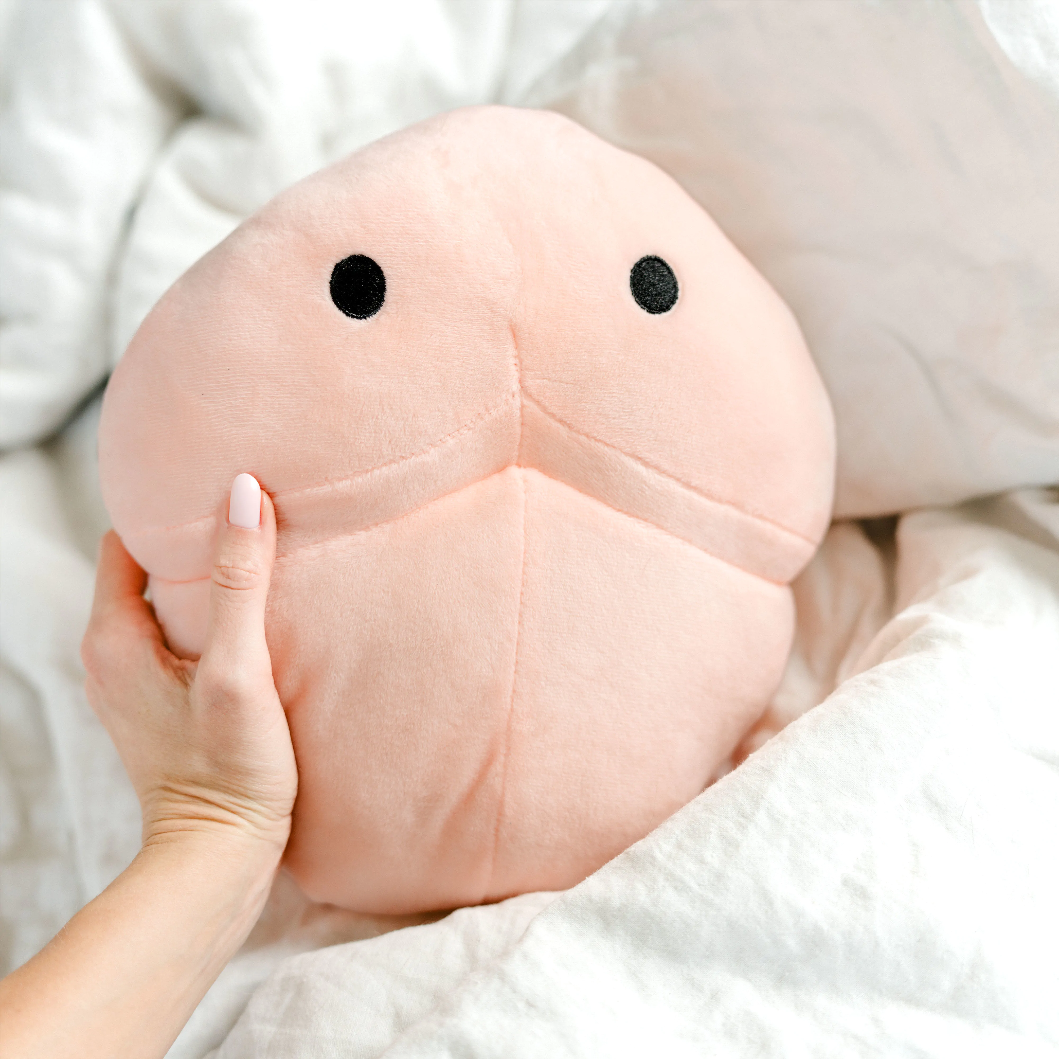 Willy the Warmer