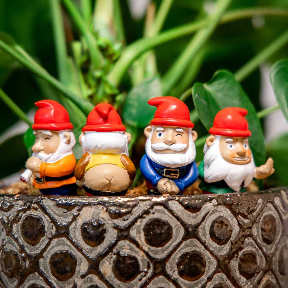 Mini Plant Pot Naughty Gnomes - Cheeky! | FIREBOX®