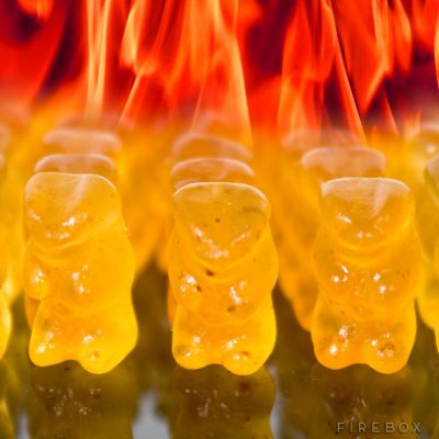 Evil Hot Gummi Bears Evil Hot Gummi Bears