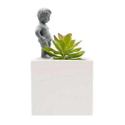 Pee My Plants Plant Watering Accessory