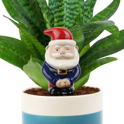 Pee My Plants Plant Watering Accessory