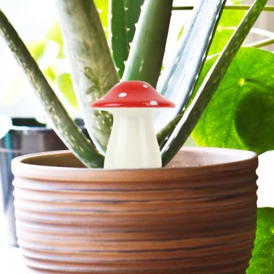 Self-Watering Mushroom Planter