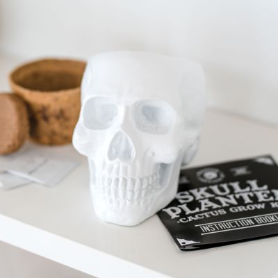Skull Planter Grow Kit