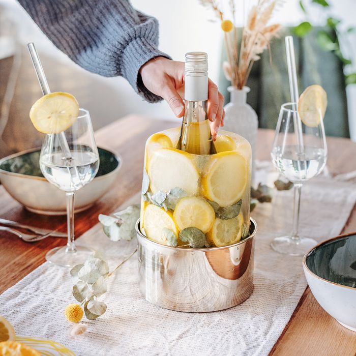 Crate and Barrel Ice Mold/Wine Bottle Chiller