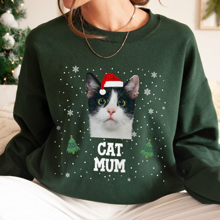 Personalised Christmas Sweatshirt with Pet and Text
