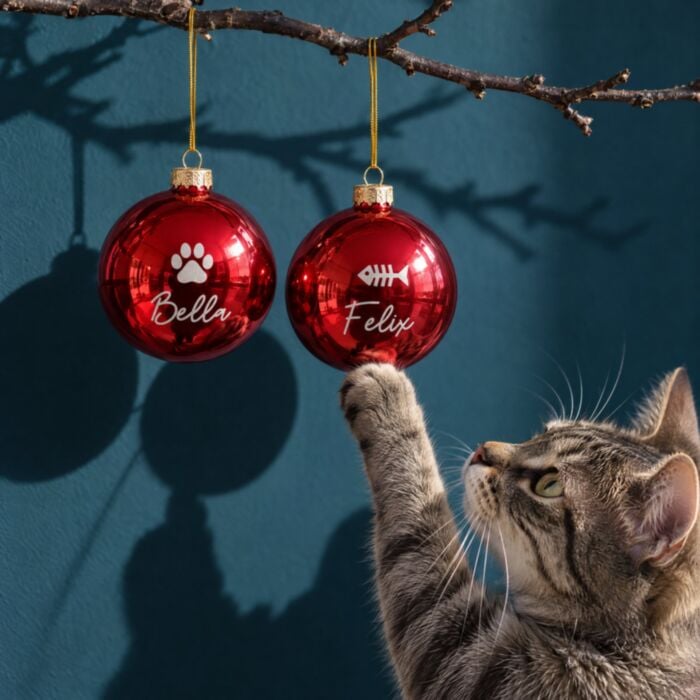Personalised Pet Baubles – Set of 2