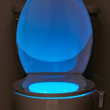 Toilet Bowl Light