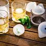 Shot Glasses and Ice Tray Set