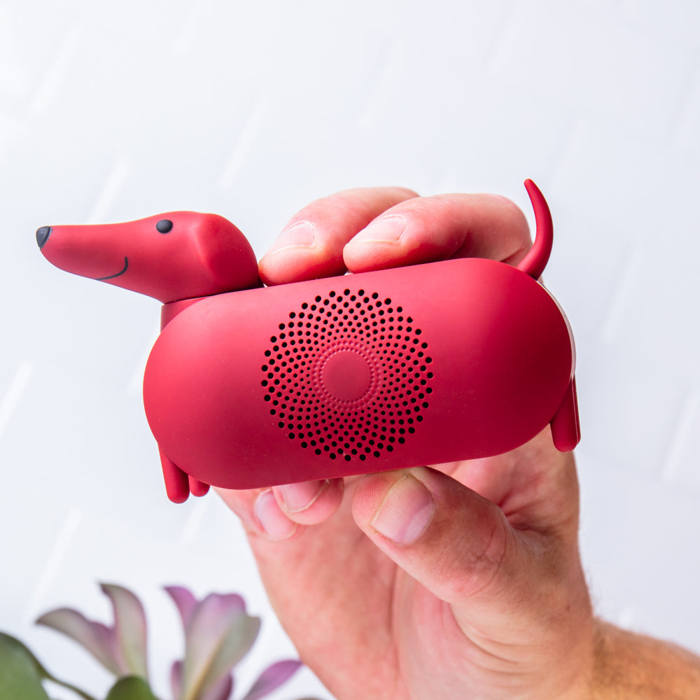 Mini SubWOOFer Speaker